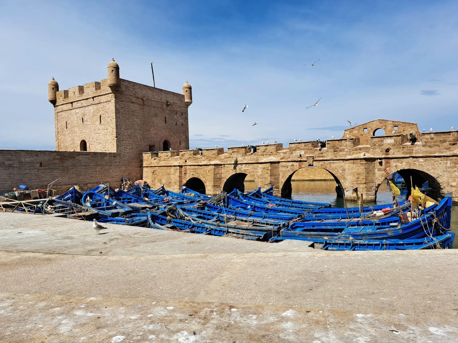 Puerto pesquero de Essaouira