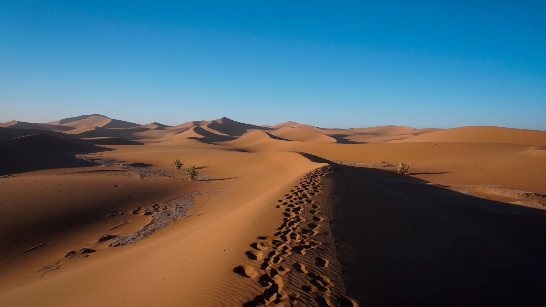 De las ciudades al corazón del Sahara · The Imperial Journey