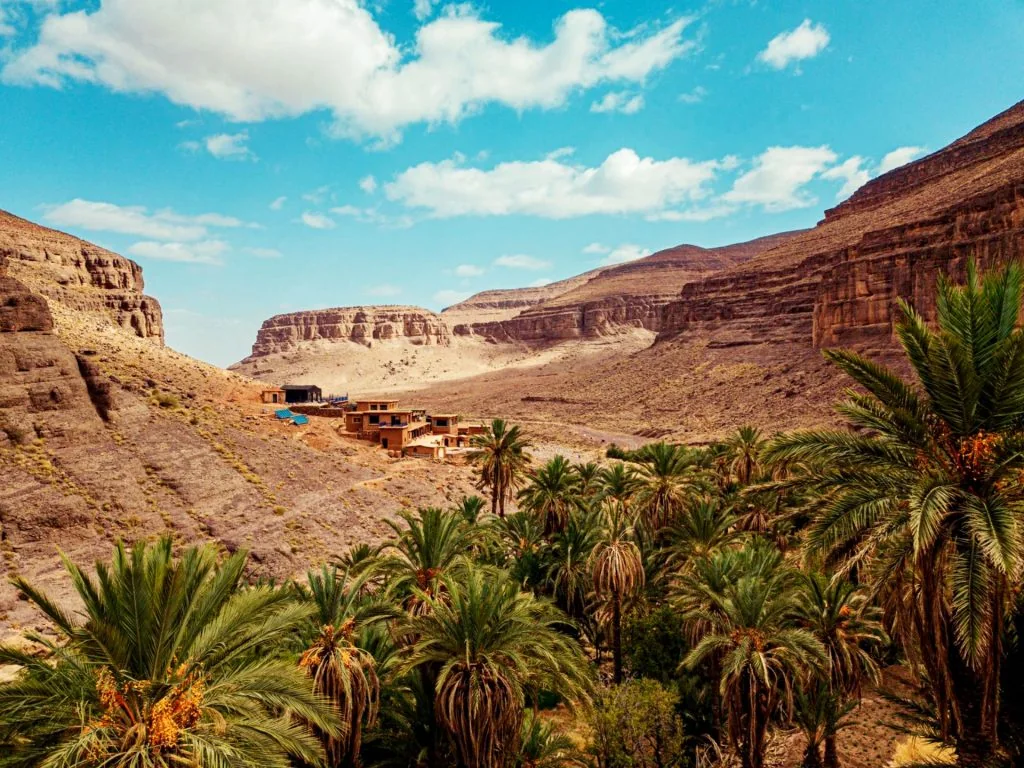 Oasis y paisaje de roca